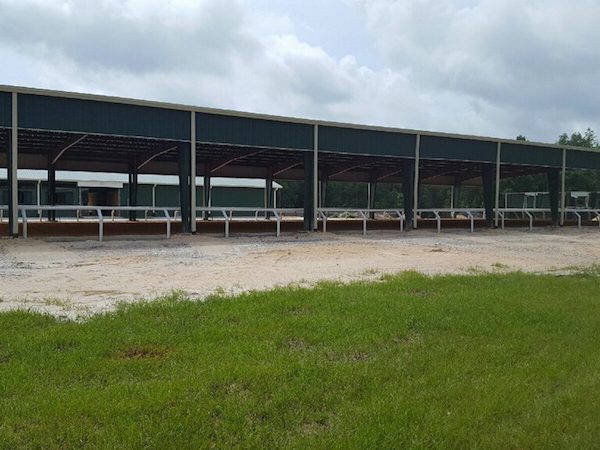 80x200-equestrain-daland-fl-3